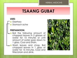 Tsaang Gubat Herbal Medicine Benefits .